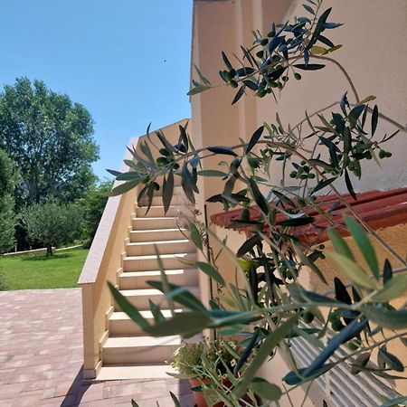 Novouredeni Apartman Marko Mundanije Экстерьер фото