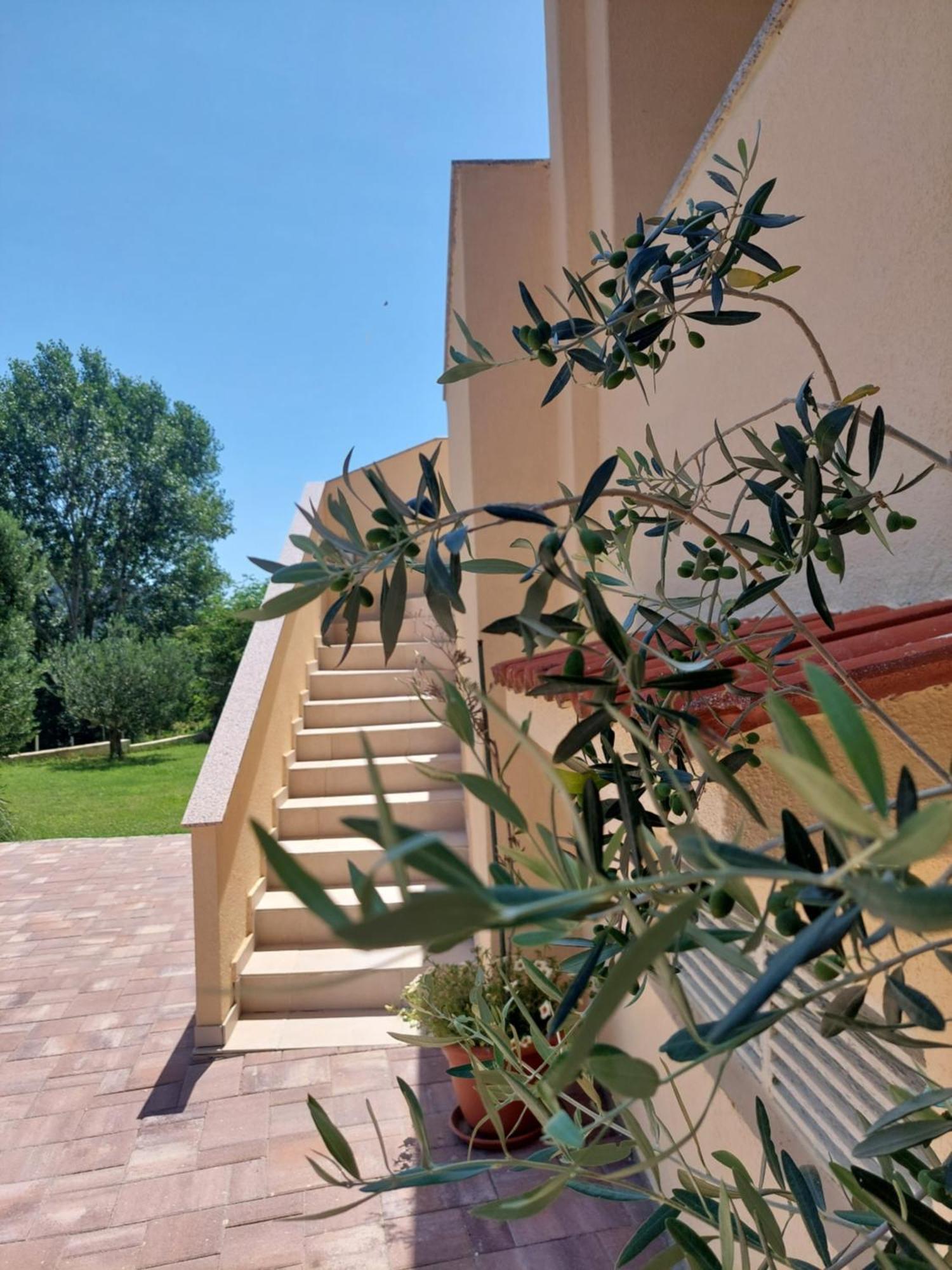 Novouredeni Apartman Marko Mundanije Экстерьер фото